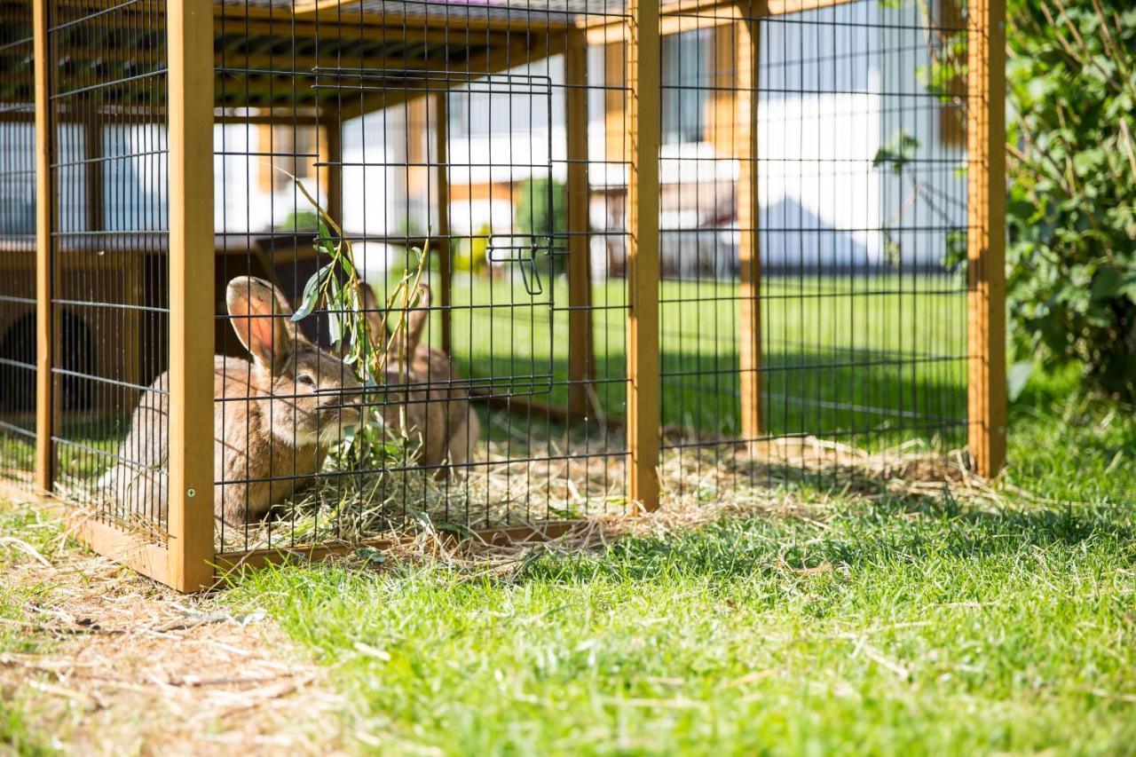 Apartament Pichlerhof Planca di Sopra Zewnętrze zdjęcie